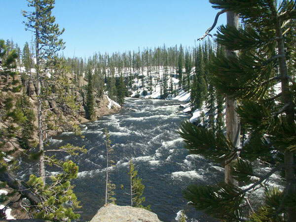 Photo 4