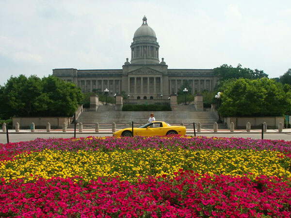 Photo 45