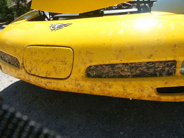 Photo 31
